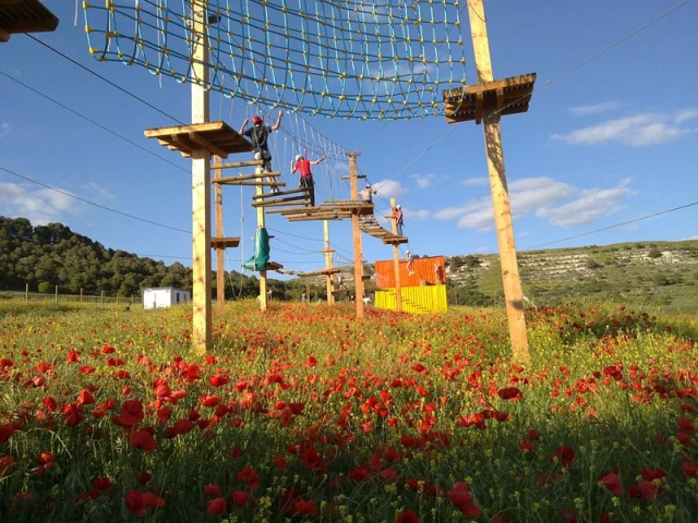 Actividades de tirolina